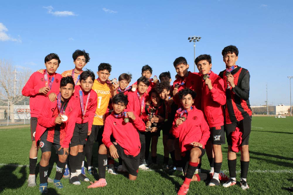 Cachorros