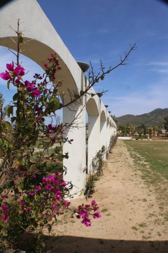 ¡Descubre los mejores lugares para acampar en Baja California este verano!