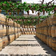 Entre dioses, historia y celebración: el vino y su poder transformador llegan a la Fiesta de Colores 2025 de L.A. Cetto