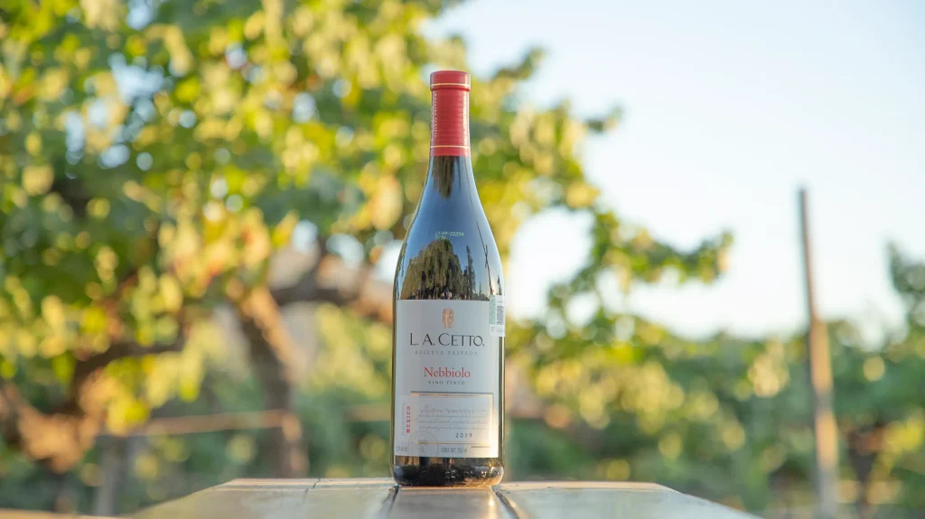 El Valle de Guadalupe, en Ensenada, se ha consolidado como el centro vinícola más importante de México, aportando prestigio a nuestro país, y algunas de sus vinícolas son reconocidas por sus aportaciones a la producción y calidad de esta industria