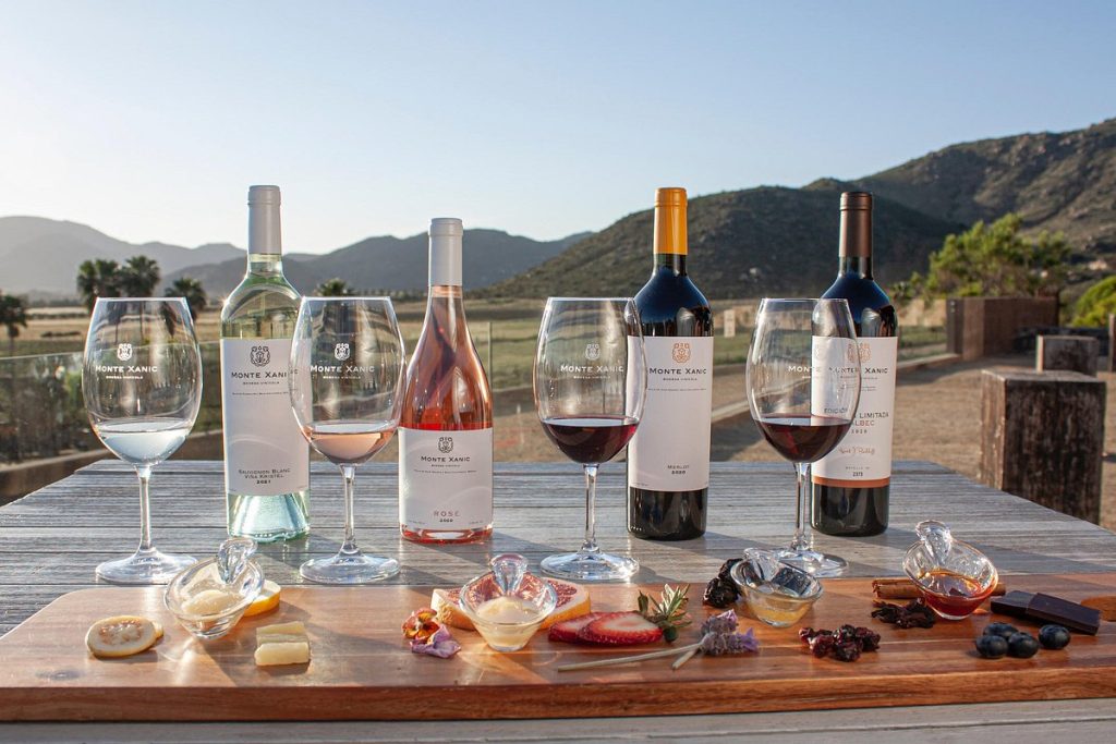 El Valle de Guadalupe, en Ensenada, se ha consolidado como el centro vinícola más importante de México, aportando prestigio a nuestro país, y algunas de sus vinícolas son reconocidas por sus aportaciones a la producción y calidad de esta industria