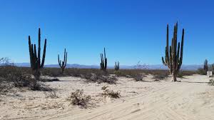 San Felipe