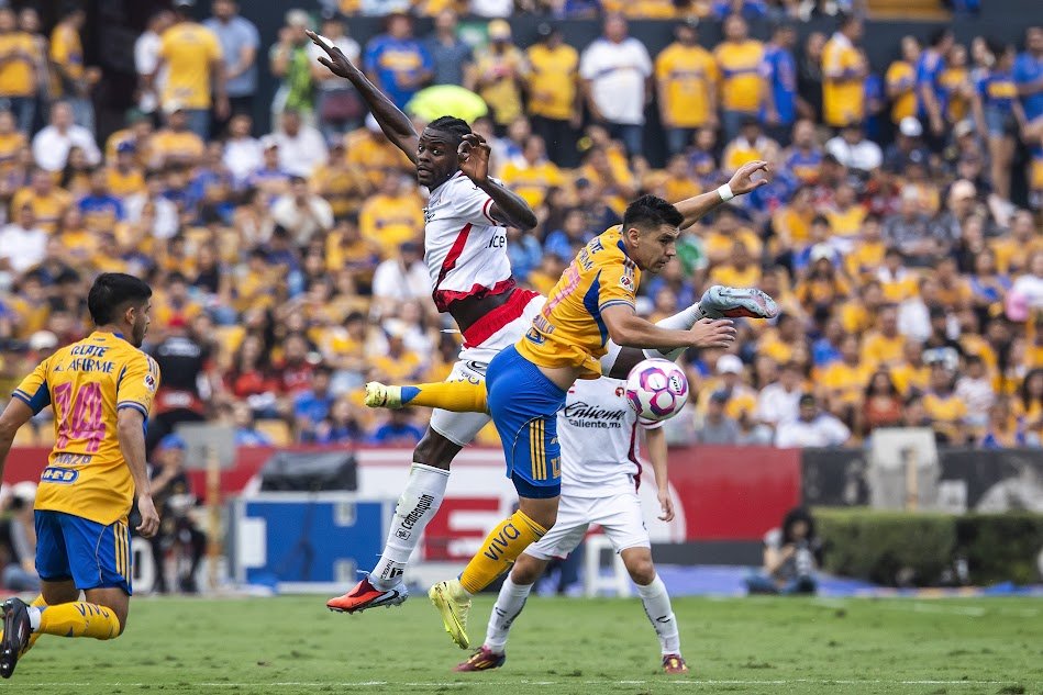 Xolos