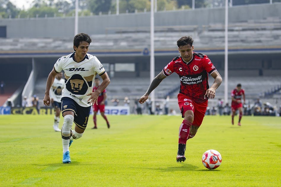 Xolos