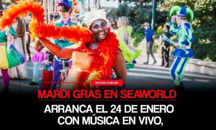 SeaWorld enciende el Mardi Gras 2026: ¡Música, fiesta y sabores desde el 24 de enero!
