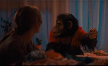 Primate