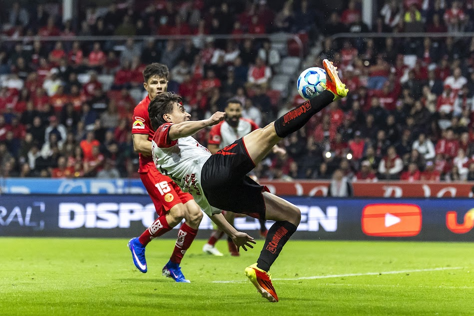 Xolos