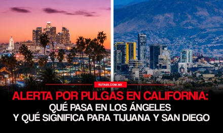 Alerta por pulgas en California: qué pasa en Los Ángeles y qué significa para Tijuana y San Diego