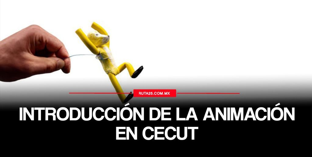 Cecut
